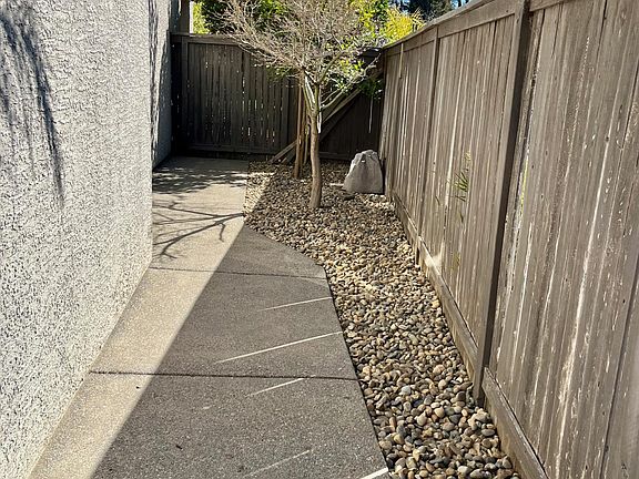 Side Yard during the winter