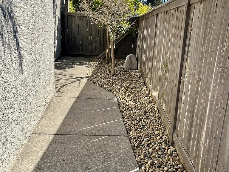 Side Yard during the winter