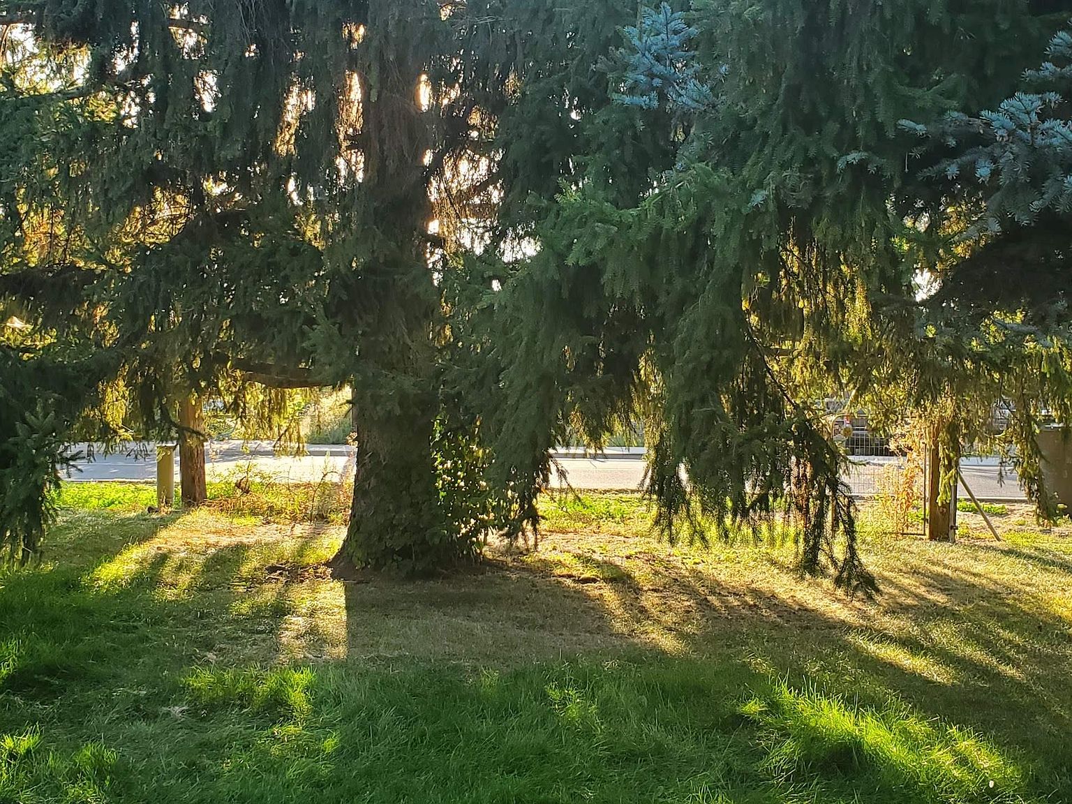 808 E Ave, Granger, WA 98932 Zillow