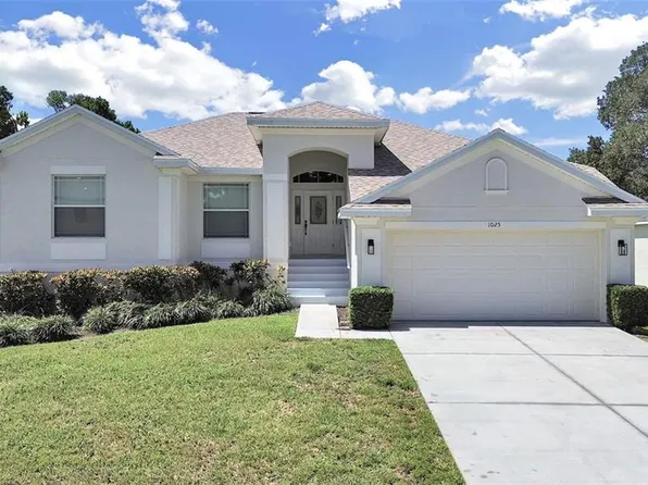 1025 LAKE AVOCA PLACE, TARPON SPRINGS, FL 34689