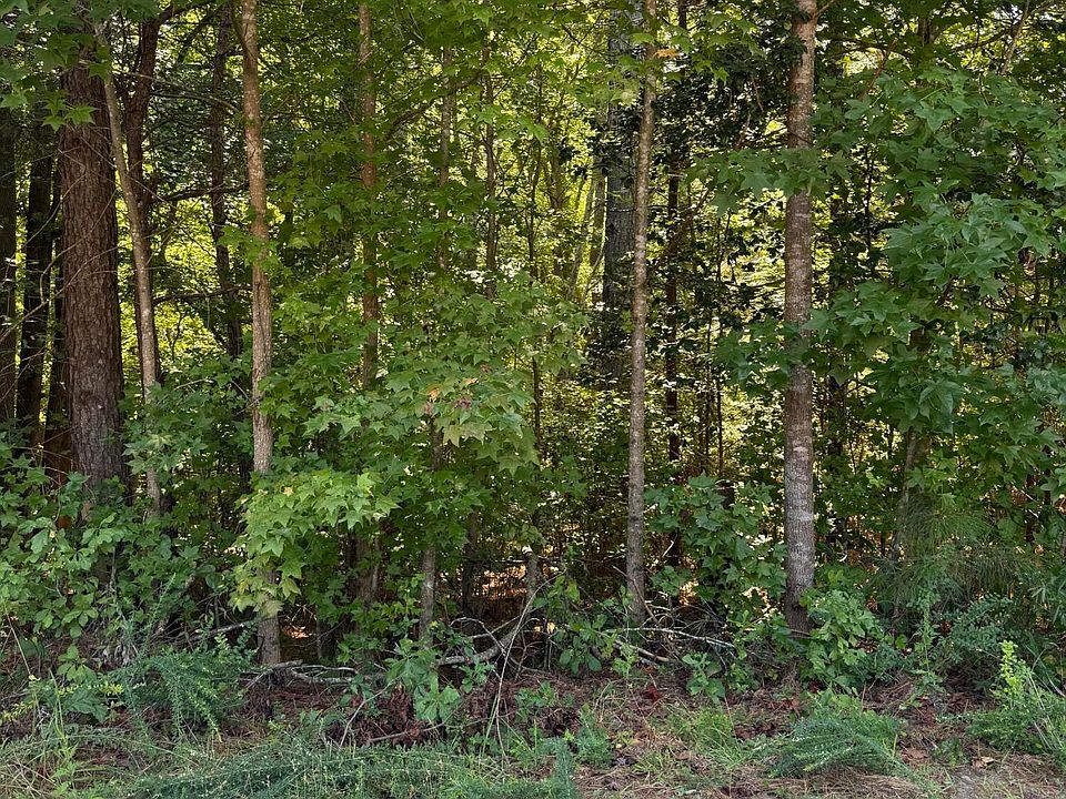 2nd image of 0 Williams Farm Rd Lot 6