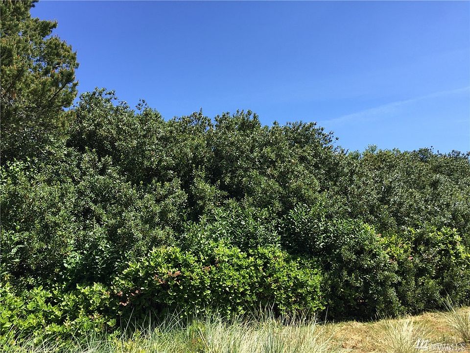 Clear some brush to your liking and camp for 90 days or build up for potential Ocean Views!