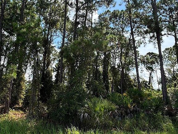 5th image of 1073 HARLINGEN ROAD SW LOT 6