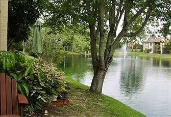 Lake with landscaping 