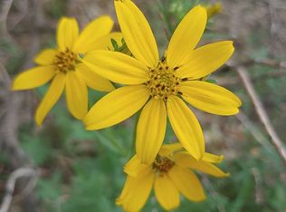 Rolling Hills Rd, Blanco, TX 78606