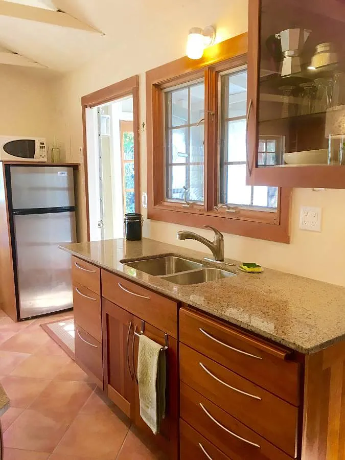 Studio, 550 sqft, $2,450 — Photo 3
