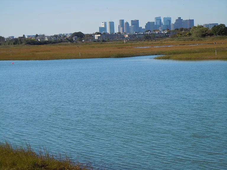 Boston skyline from dining area windows - mid-tide