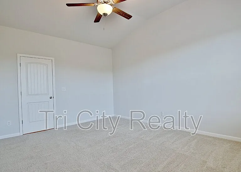 250 Cobalt Dr — Photo 41
