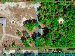 25201 Celmar St, Brooksville, FL 34601