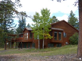 298 Buckaroo Rd, Bailey, CO 80421
