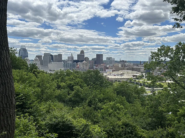 Mt. Adams Living — Photo 40