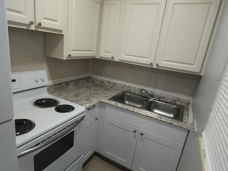 419 Pineapple Street — Photo 5