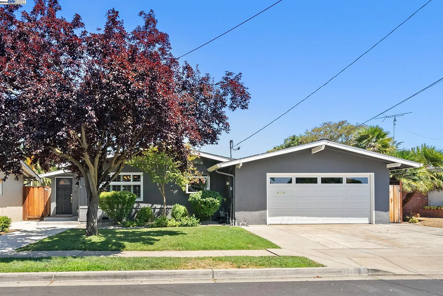 1636 Juniper St photo 1