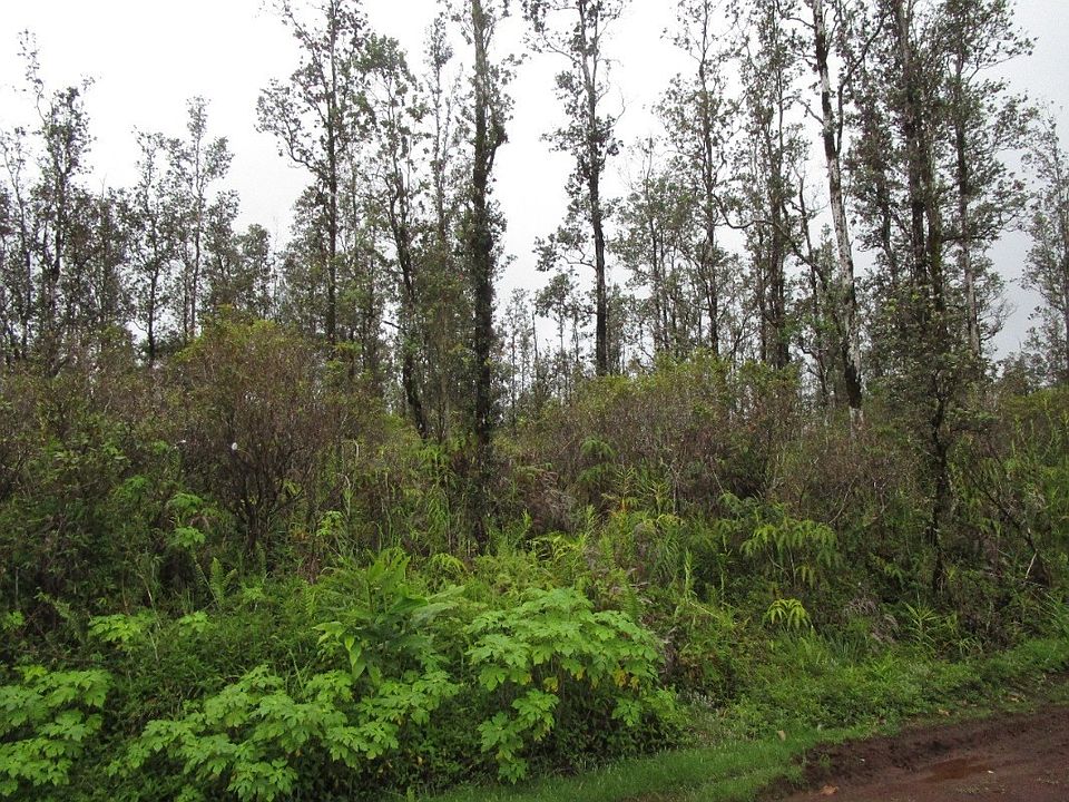 2nd image of Plumeria Dr Lot 14