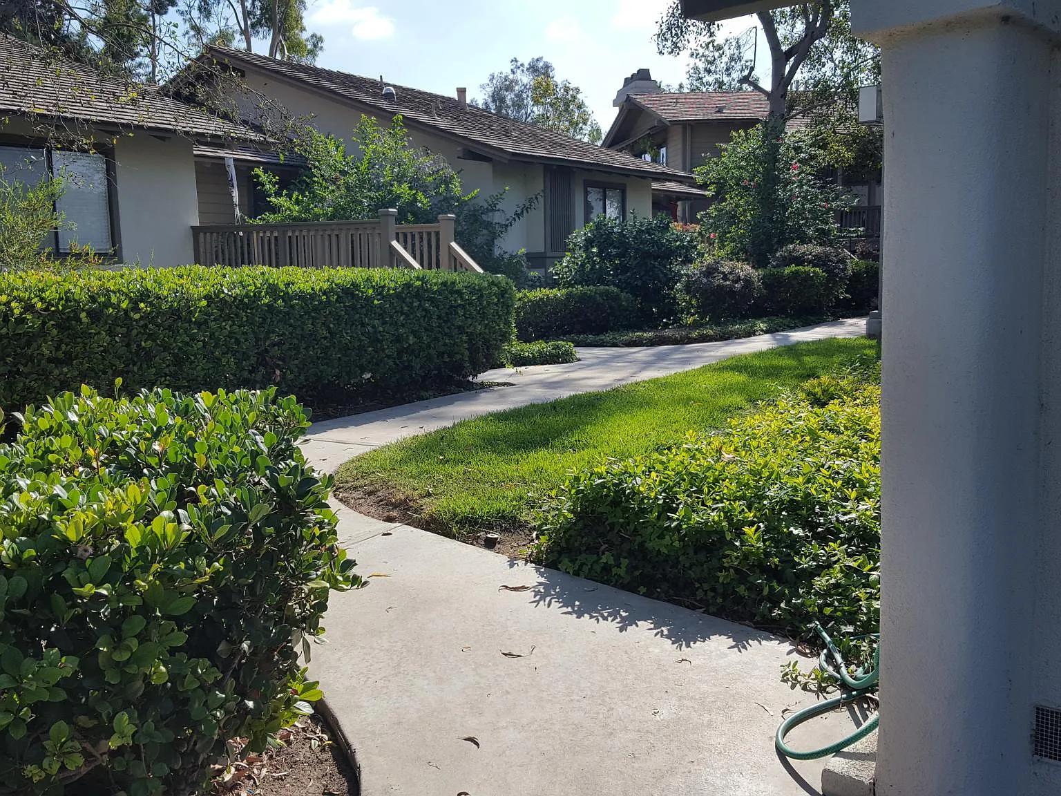 56 Arboles — Photo 2