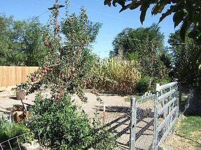 Garden area