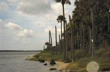 5th image of 18 N Riverwalk Dr