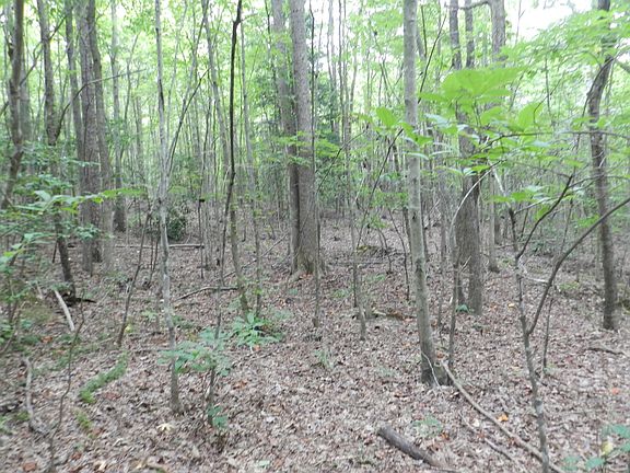 3rd image of 00 Nc Hwy 134