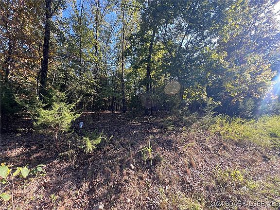 2nd image of 1229 Spring Creek Dr
