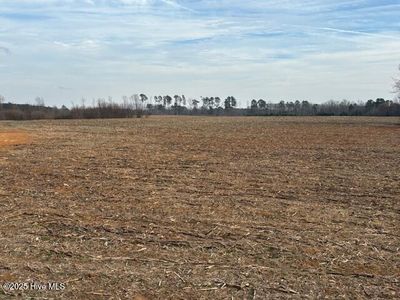 Tbd Red Road, Nashville, NC, 27856