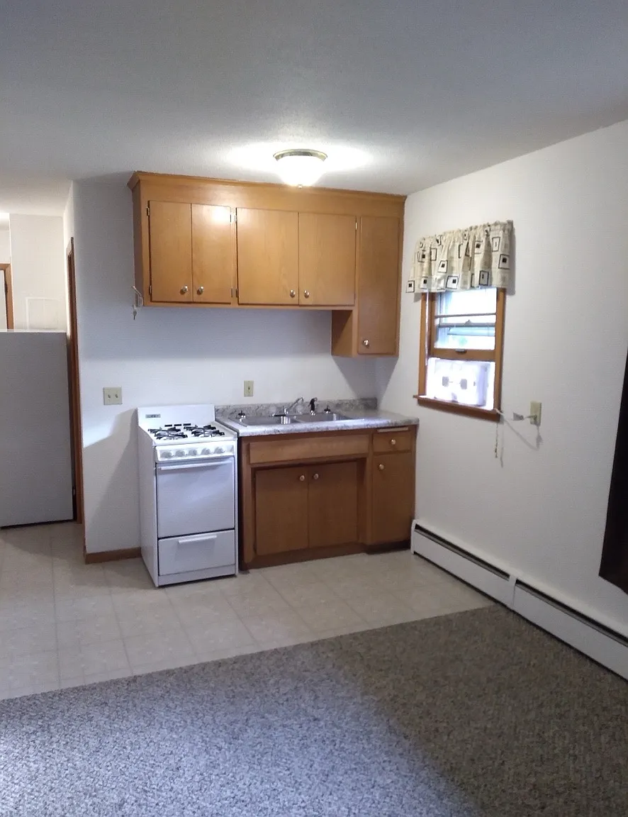 Studio, 399 sqft, $875 — Photo 2