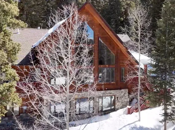 220 Davis Ct, Breckenridge, CO 80424