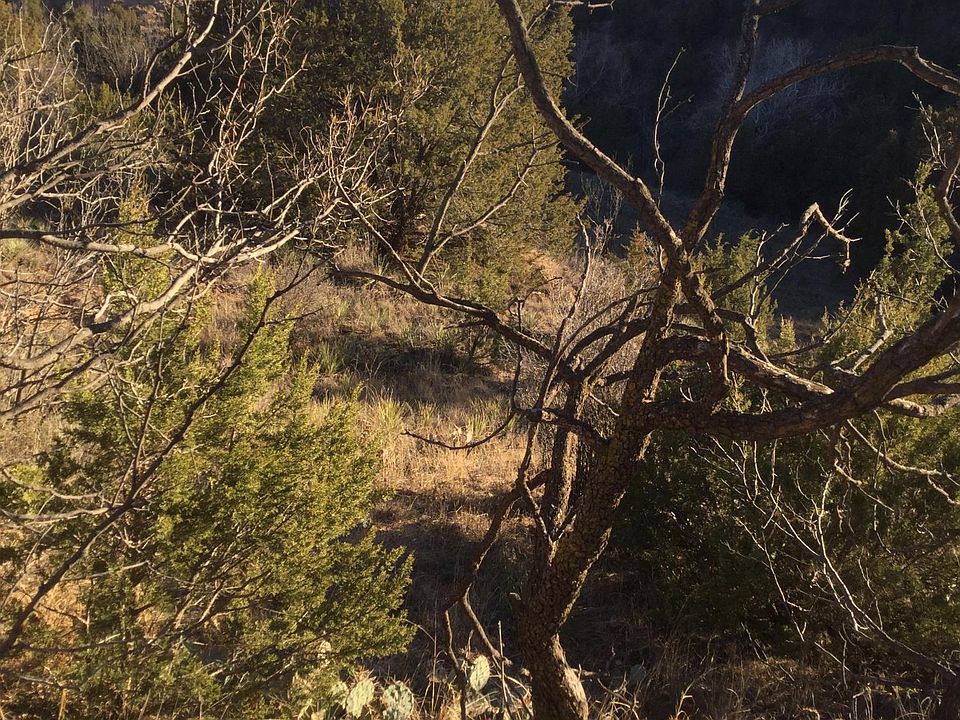 1st image of Cottonwood Cir