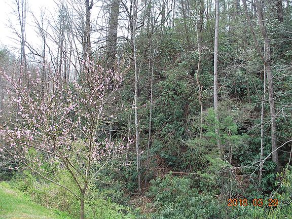 2nd image of 000 Hwy 226a