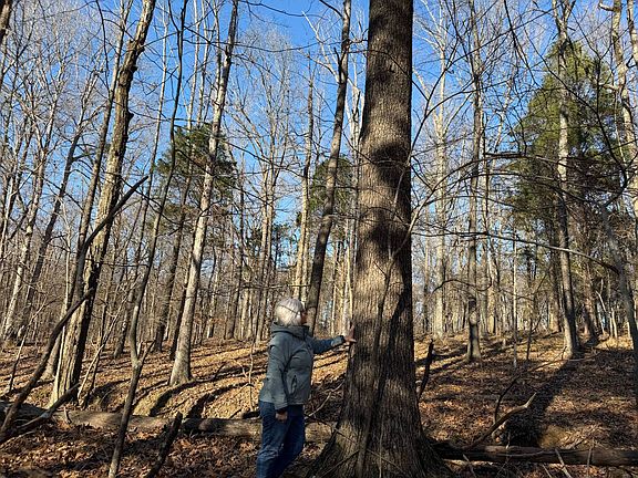 5th image of /climer Rd