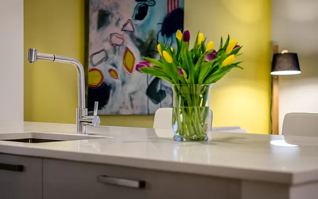 Rented by Bond New York | media 6