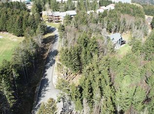 17 1st Tracts Blvd, Snowshoe, WV 26209