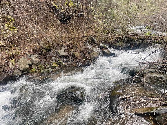 5th image of 693605 Gold Run Rd