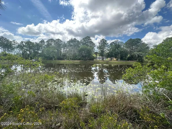 1131 Owl Cir, Mims, FL 32754