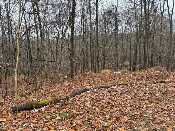 Pert Hill Rd, Hopewell, OH 43746