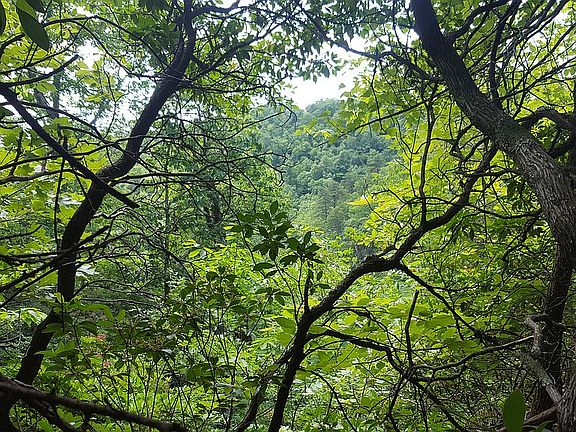 View looking straight out