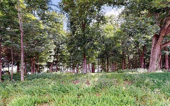 5th image of LOT 138 Crystal Creek Cir