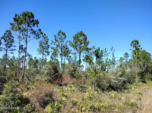 10695 Cowels Rd, Fountain, FL 32438