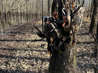 0 N Stokes Rd, Bald Knob, AR 72010
