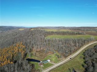 2346 Wheeler Hill Rd, Greenwood, NY 14839