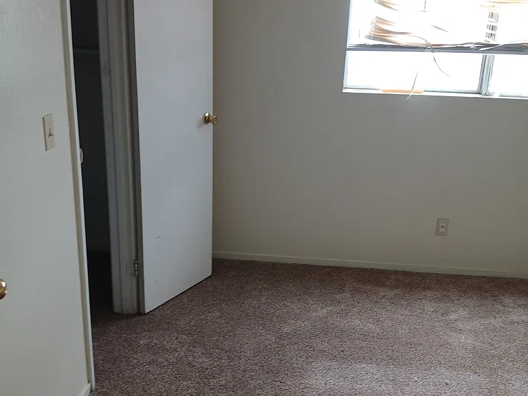 3515 E Thomas Ave #3 — Photo 12