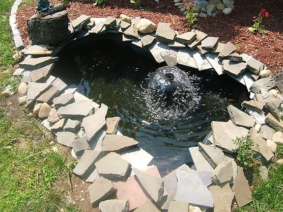 Pond in front