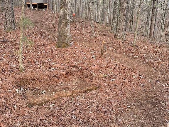 5th image of 0 Shady Grove Church Rd #3