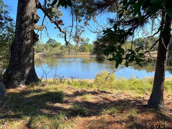 3 County Road 1125, Tyler, TX 75704