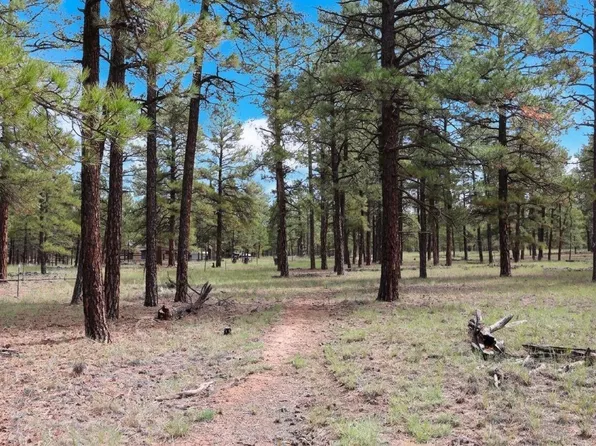 LOT 44 Rhyolite Rd, Grants, NM 87020
