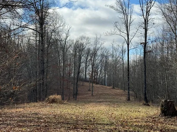 35.33 White Oak Flatt Rd, Sparta, TN 38583
