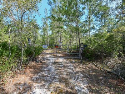 905 Still Rd, Pierson, FL, 32180