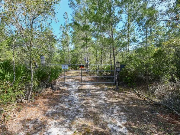 905 Still Rd, Pierson, FL 32180