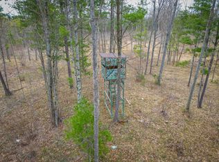 4854 Swihart Rd, Brethren, MI 49619