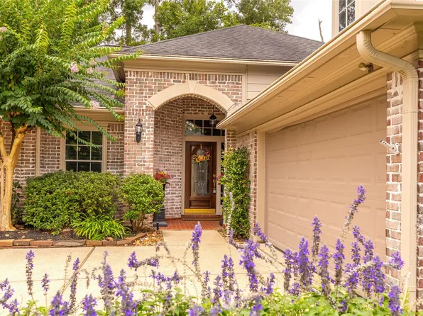 19 Palmer Green Pl, Spring, TX 77381