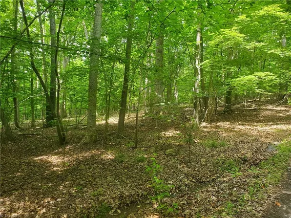 LOT 2 Loflin Pond Rd, Asheboro, NC 27203